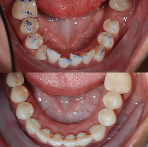 Harmony Dental Arts, NY